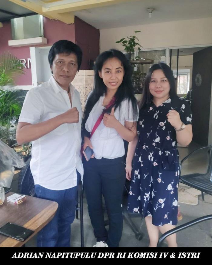 kantor hukum aine (4) kantor hukum aine (4)